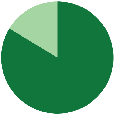 Pie Chart 60% - 32%